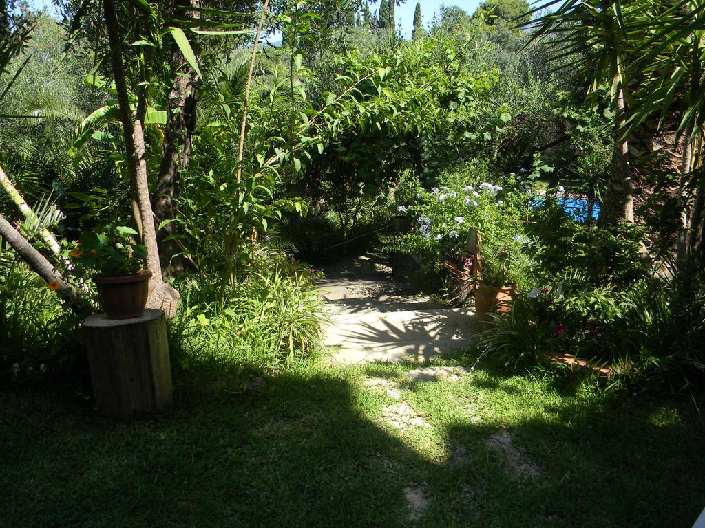 Villa Efterpi Kontokali Exteriör bild