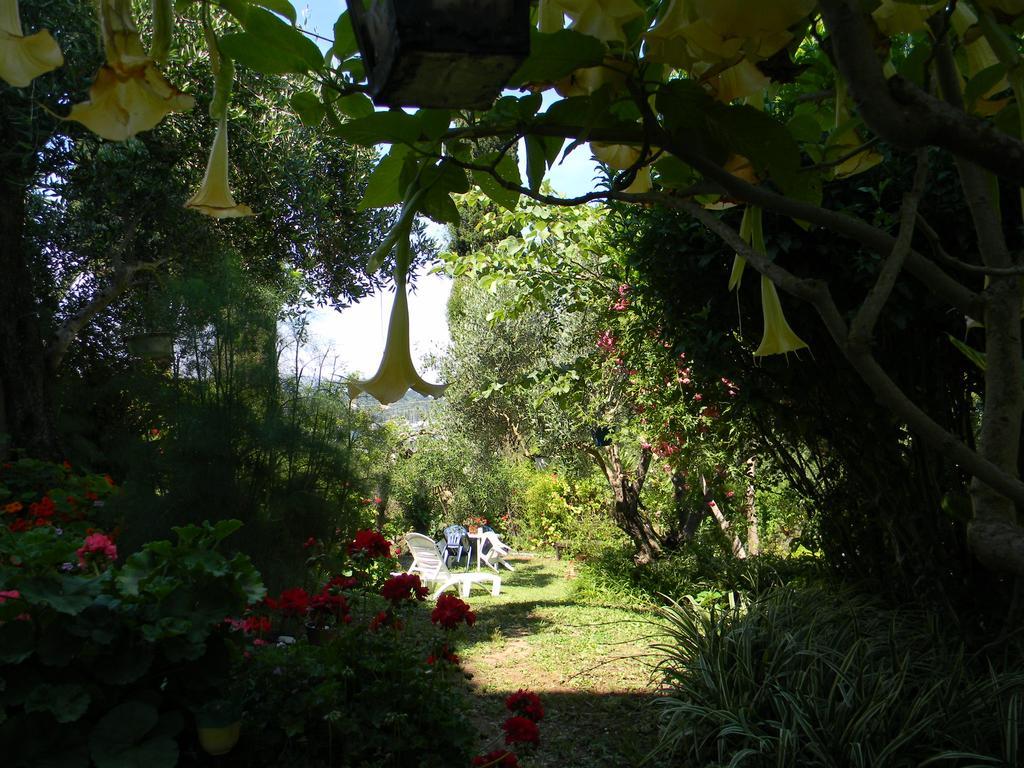 Villa Efterpi Kontokali Exteriör bild